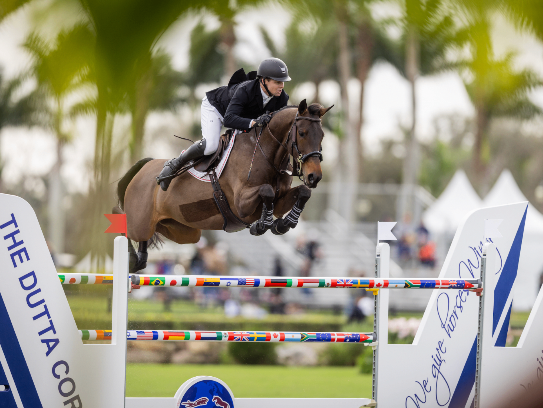 Showjumping