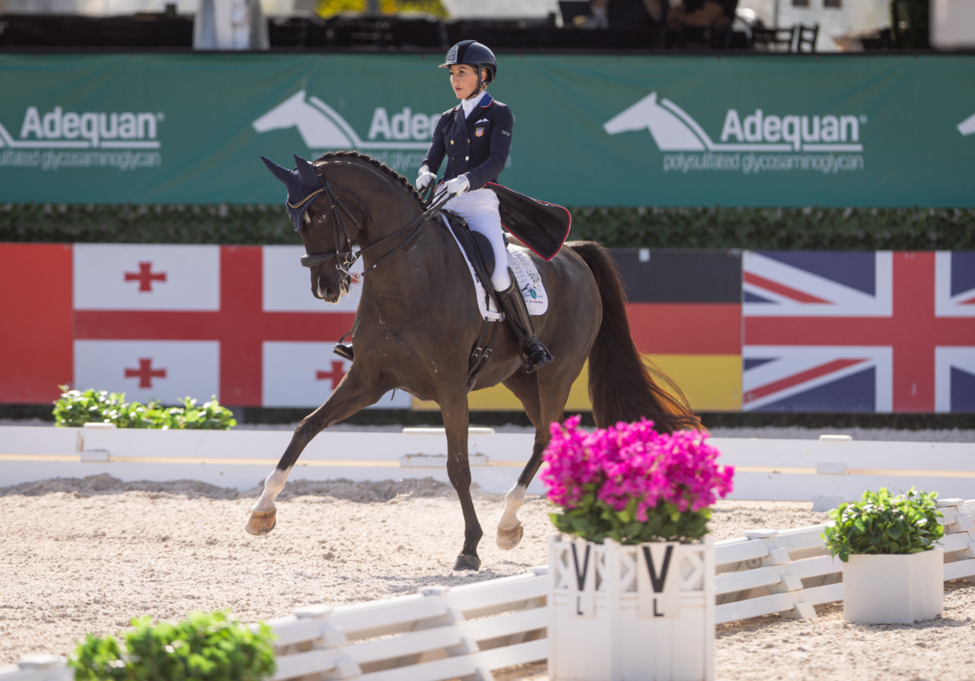 Dressage